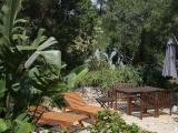 Menghello Palmižana - rajski vrt - slika 17