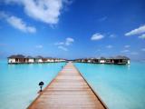 Maldivi; Paradise Island Resort & Spa